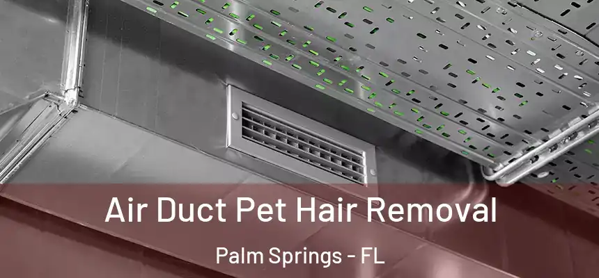 Air Duct Pet Hair Removal Palm Springs - FL