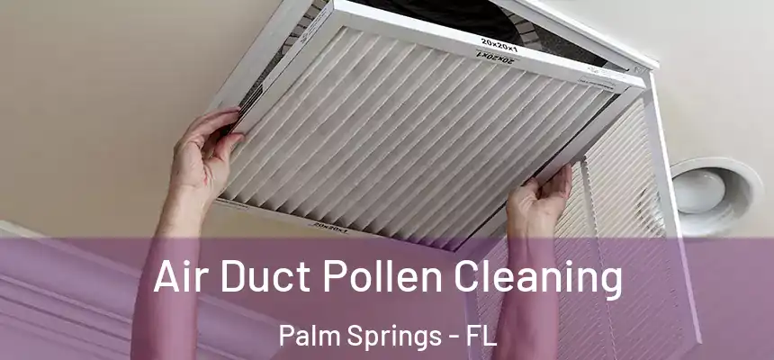  Air Duct Pollen Cleaning Palm Springs - FL