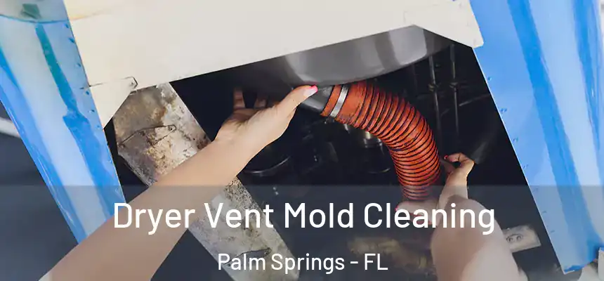  Dryer Vent Mold Cleaning Palm Springs - FL