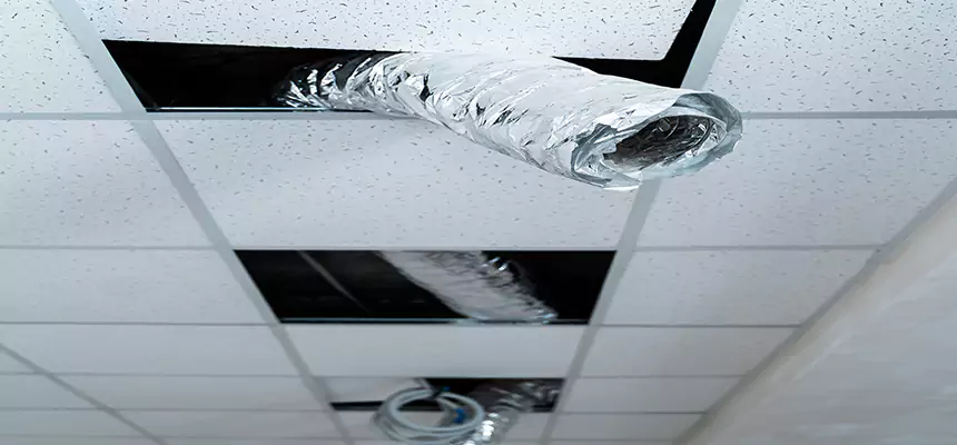 Our Air Duct Pet Hair Removal Services in Palm Springs, FL