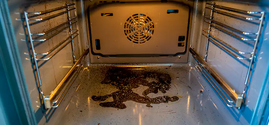 Our Dryer Vent Mold Cleaning Services in Palm Springs, FL