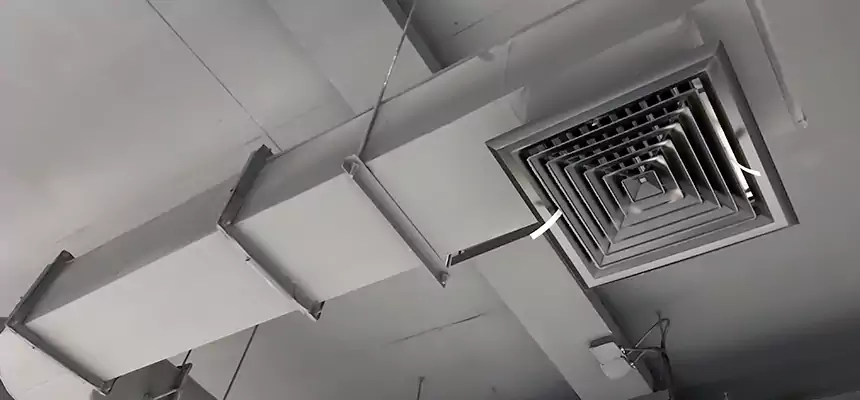 Our Pest Removal From Ducts Services in Palm Springs, FL