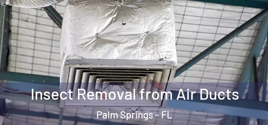  Insect Removal from Air Ducts Palm Springs - FL