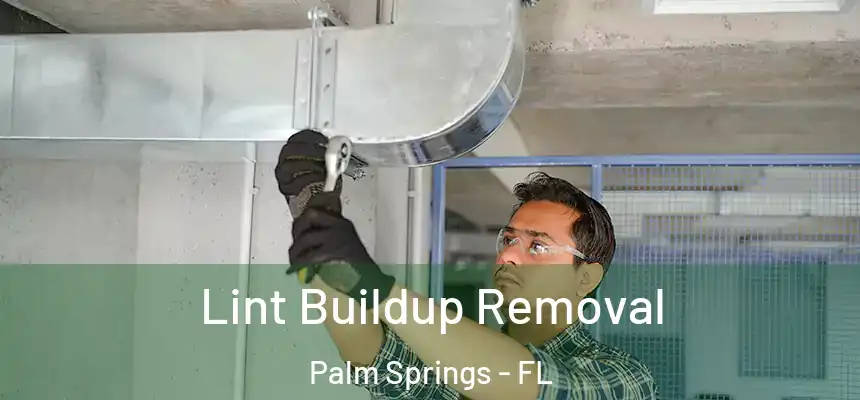  Lint Buildup Removal Palm Springs - FL