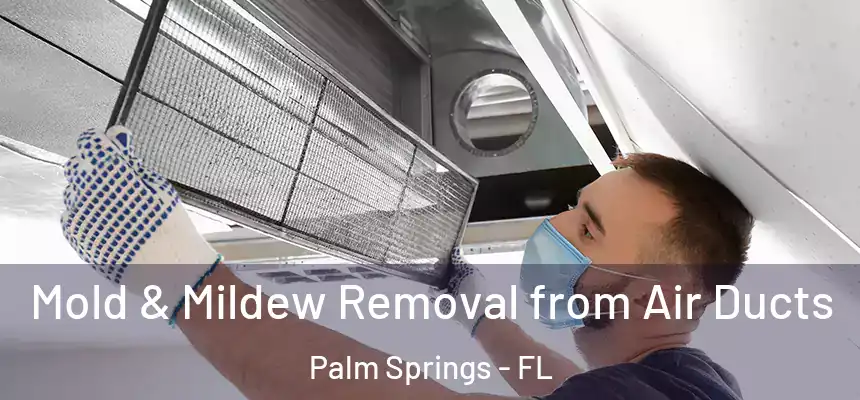 Mold & Mildew Removal from Air Ducts Palm Springs - FL