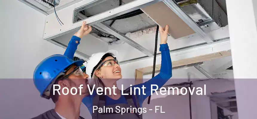  Roof Vent Lint Removal Palm Springs - FL