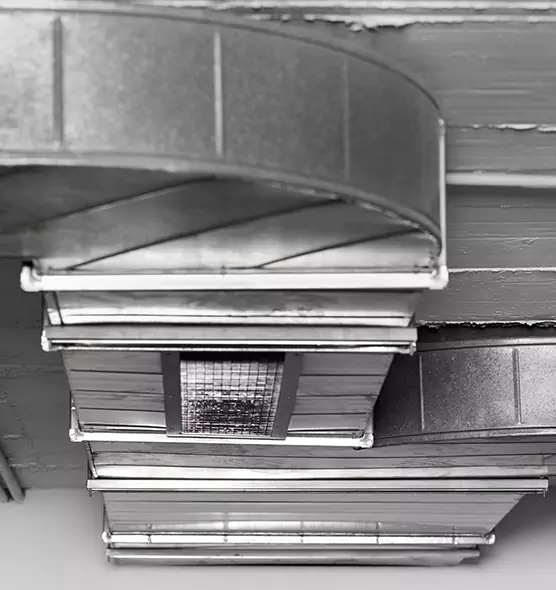 Professional Air Duct Pest Removal in Palm Springs, FL