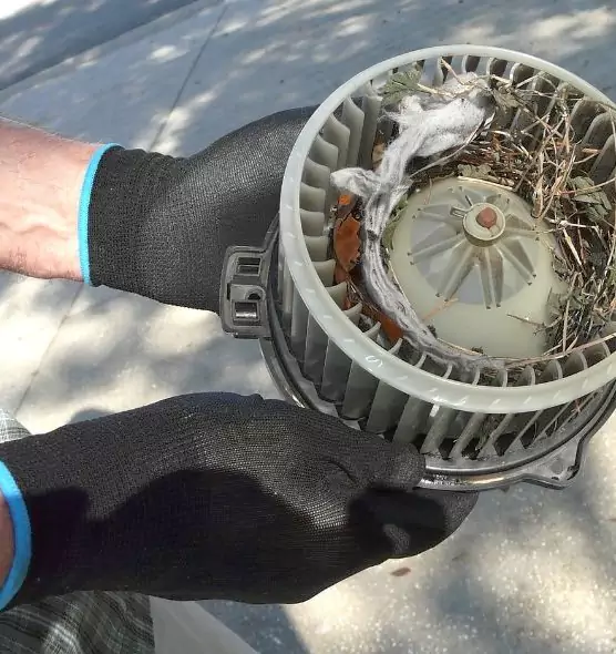 About Air Duct Rat Removal in Palm Springs, FL