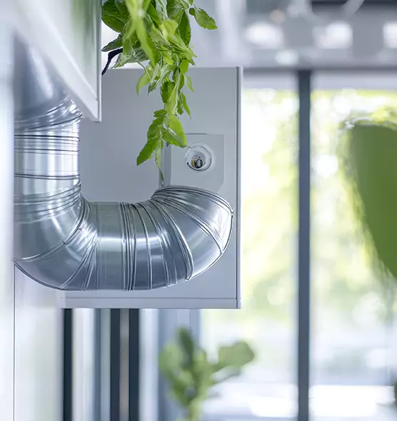 Professional Eco-Safe Dryer Vent Cleaning in Palm Springs, FL