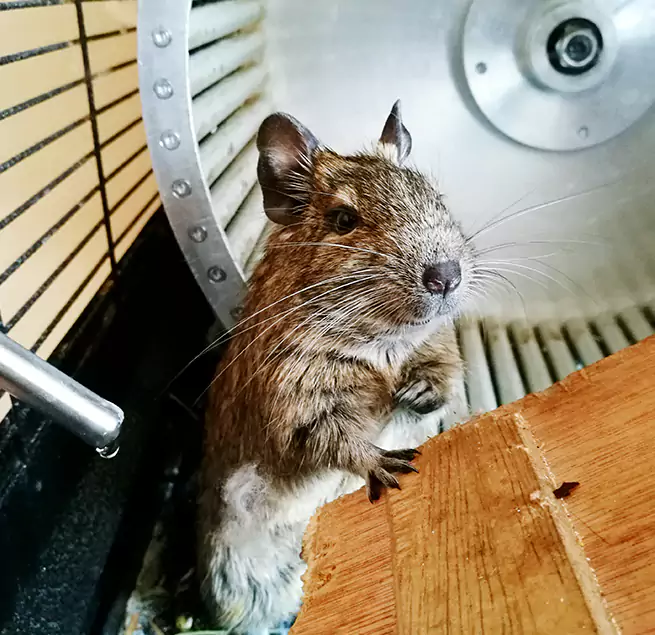 Why Homeowners & Businesses Trust Us Palm Springs, FL