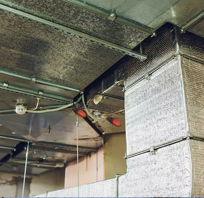 Why Homeowners & Businesses Trust Us Palm Springs, FL?